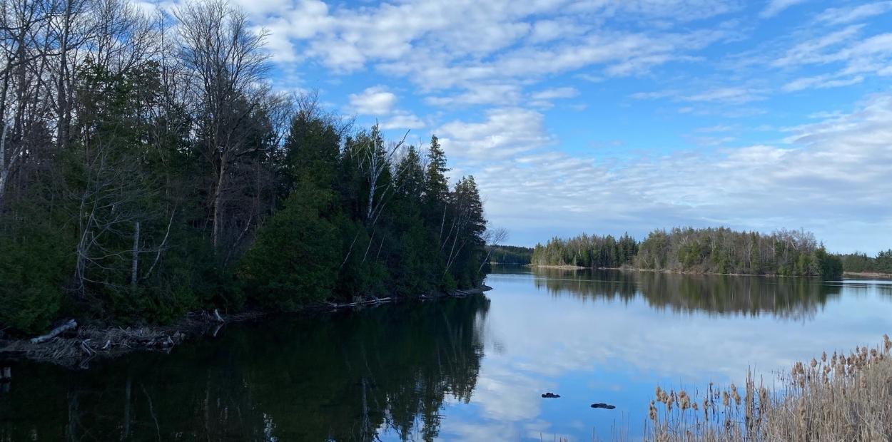 Island Lake Conservation Area